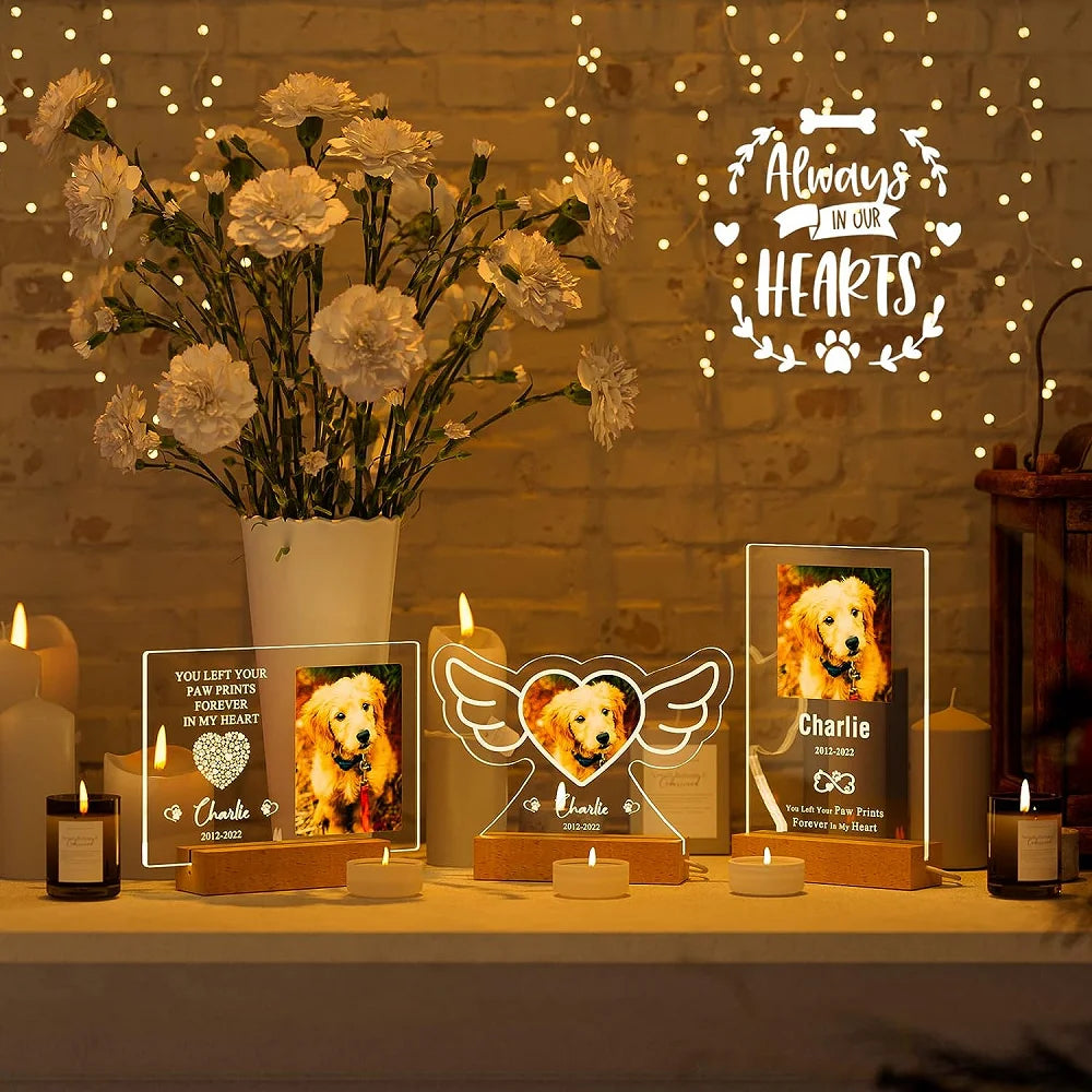 KathInscribe: Personalized Custom Pet Photo Frame 3D Acrylic Lamp