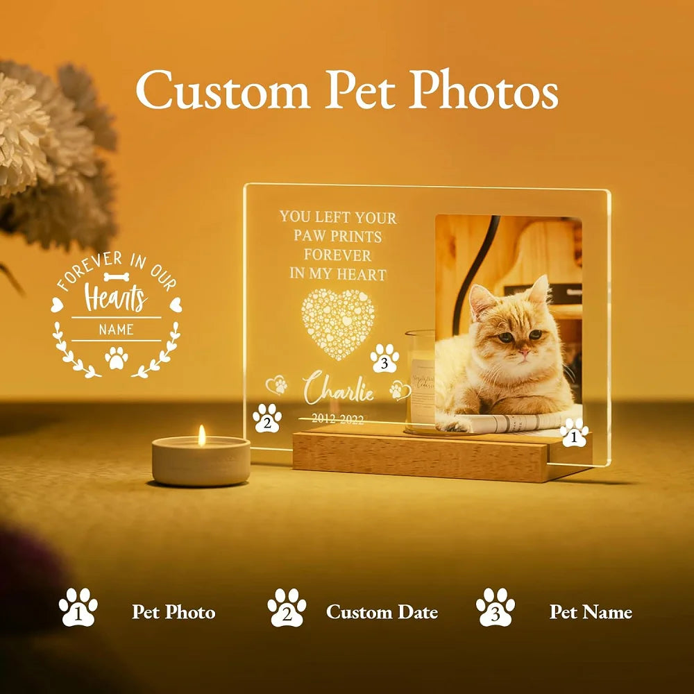 KathInscribe: Personalized Custom Pet Photo Frame 3D Acrylic Lamp