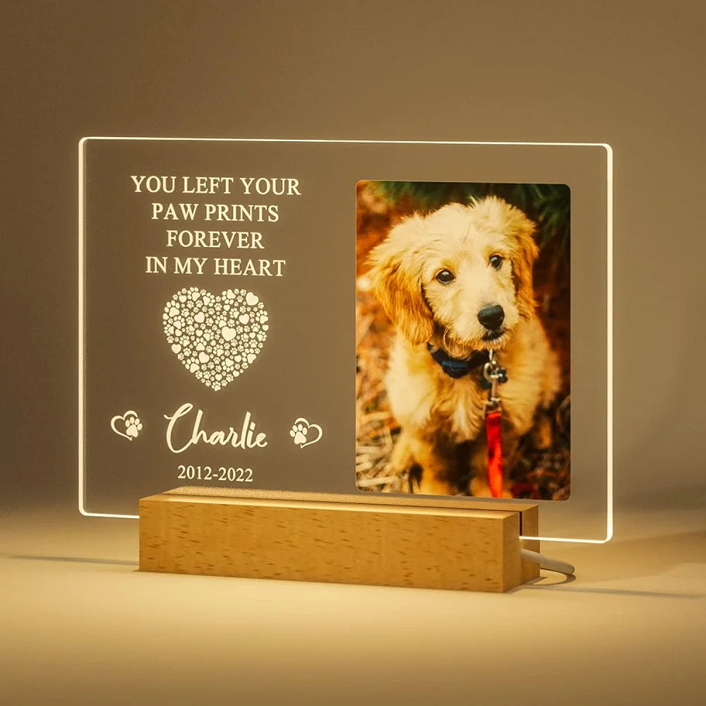 Personalized Custom Pet Photo Frame 3D Acrylic Lamp from Kathinscribe, featuring a customizable design that showcases a beloved pet's photo in 3D.